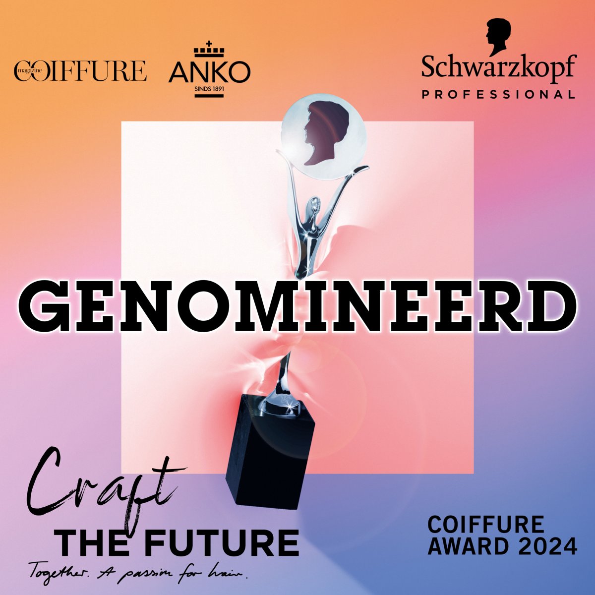 3 nominaties voor de Coiffure Awards!